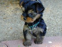 Boudreaux