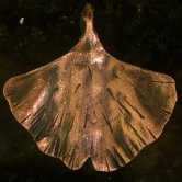 Dark Ginkgo Copper Pendant