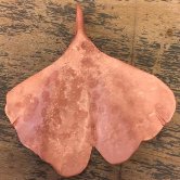 Pink Ginkgo Copper Pendant